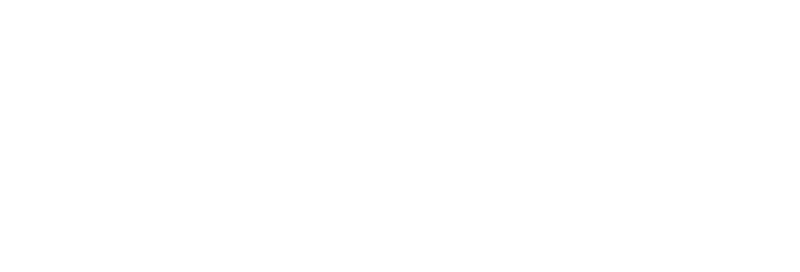 Tiina white logo