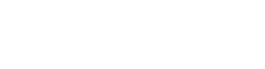 Tiina.ai